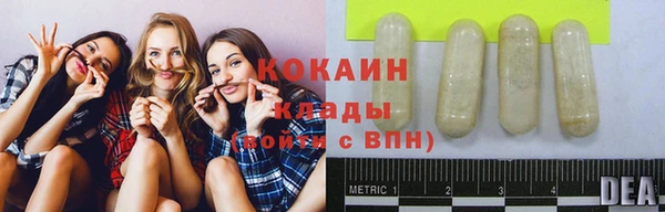 твердый Кукмор