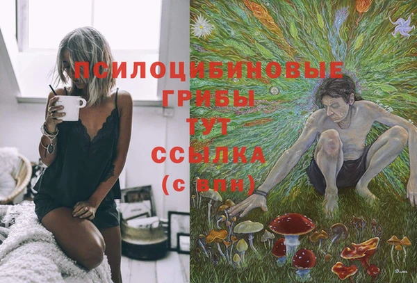 твердый Кукмор