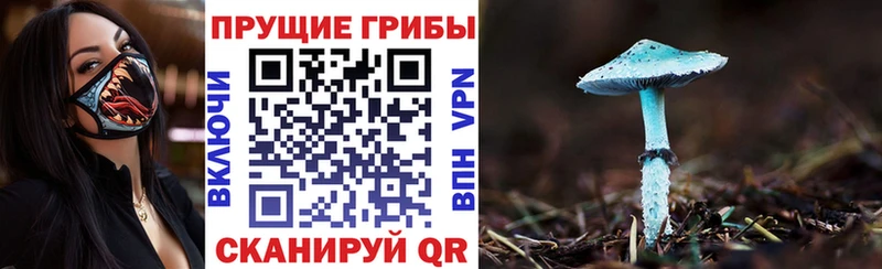 Галлюциногенные грибы мицелий  Купить где  Кропоткин 